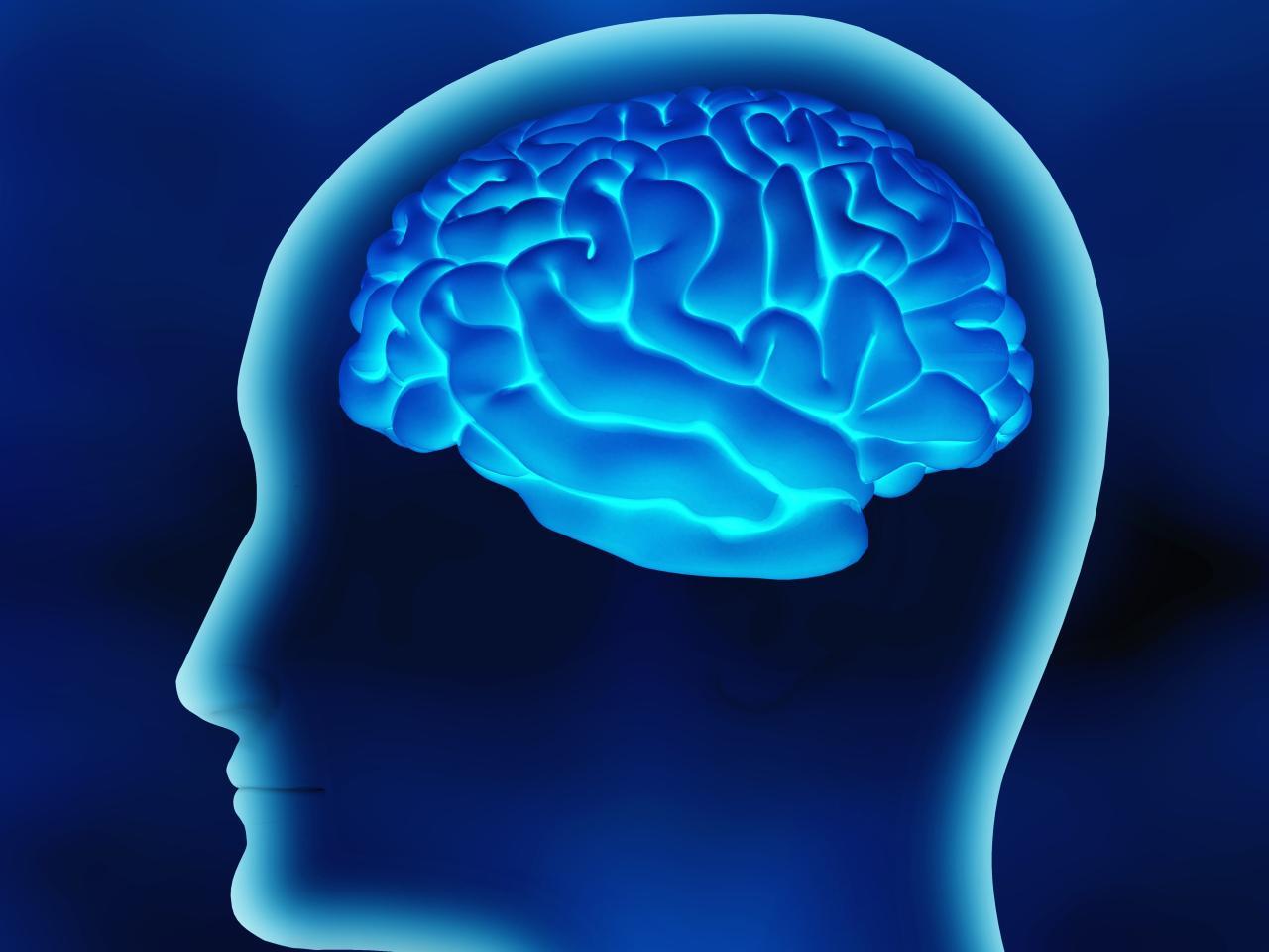 How The Mind Works Psychology How The Mind Works Psychology