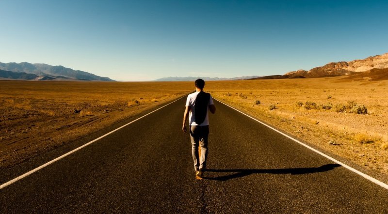 Images Gratuites : antenne, repas, aliments, Fruit de mer, Frais ... Images Gratuites : antenne, repas, aliments, Fruit de mer, Frais ...