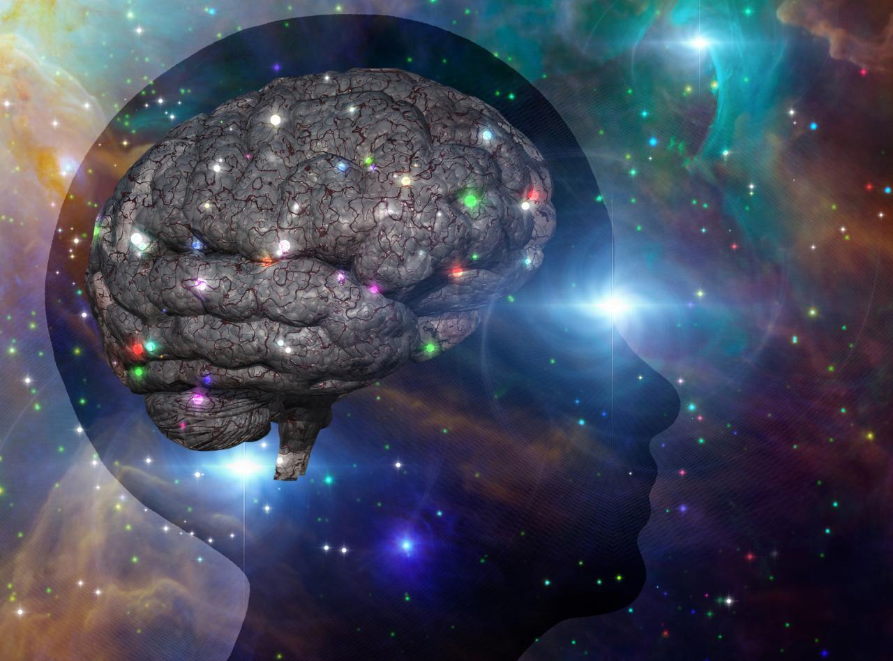 The Mind - Tita Martell - International Clairvoyant The Mind - Tita Martell - International Clairvoyant